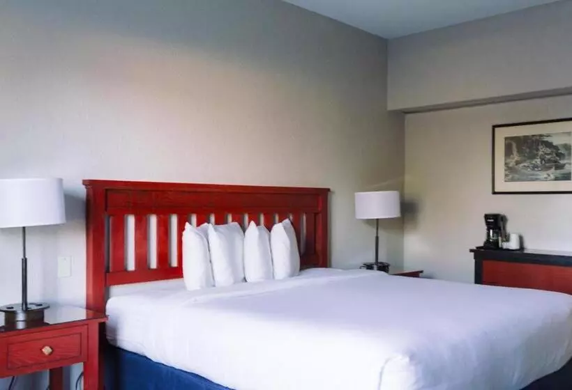 キングサイズベッドのスタンダードルーム, Wildwood Lodge & Suites