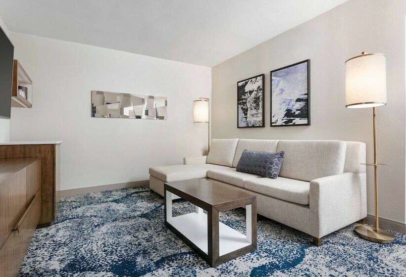 景色の見えるスイートルーム, Delta Hotels By Marriott Virginia Beach Waterfront