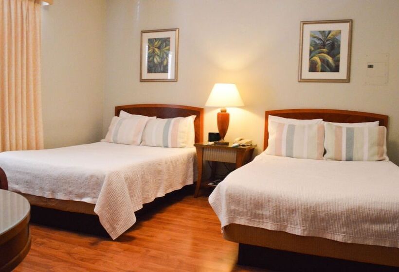 غرفة قياسية, Viscay