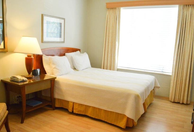 غرفة سوبيريور, Viscay