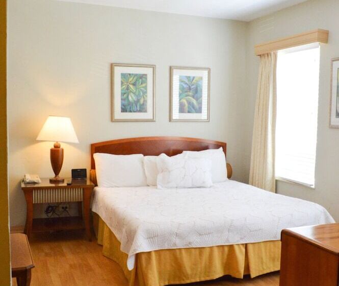 إستوديو قياسى, Viscay