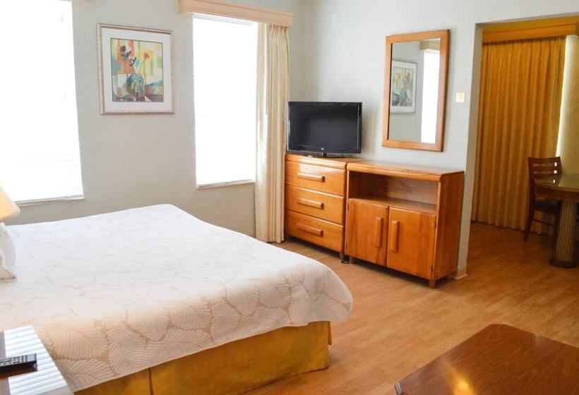 إستوديو قياسى, Viscay