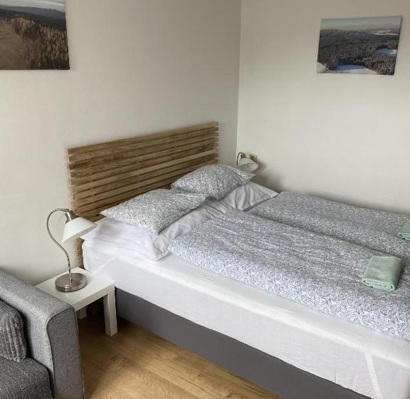 ベーシックルーム, Penzion Stanice Lyžařů Fryšava