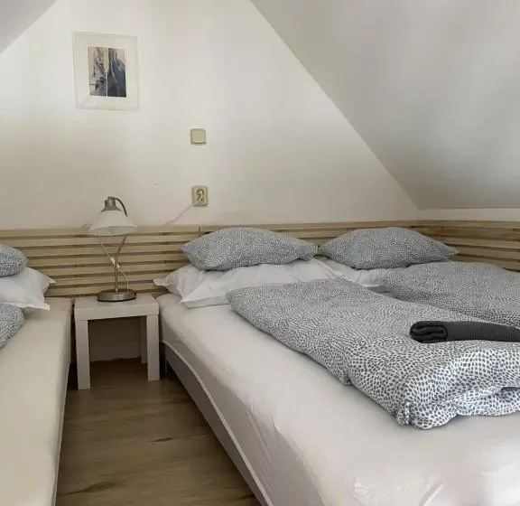 メゾネットスイート, Penzion Stanice Lyžařů Fryšava