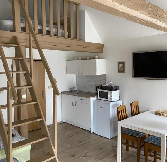 メゾネットスイート, Penzion Stanice Lyžařů Fryšava