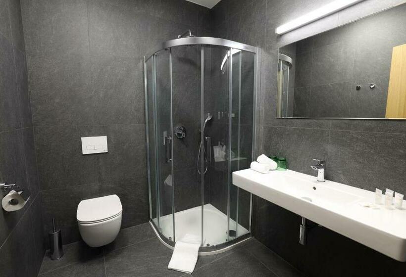 Номер Deluxe Одноместный, Smetanova