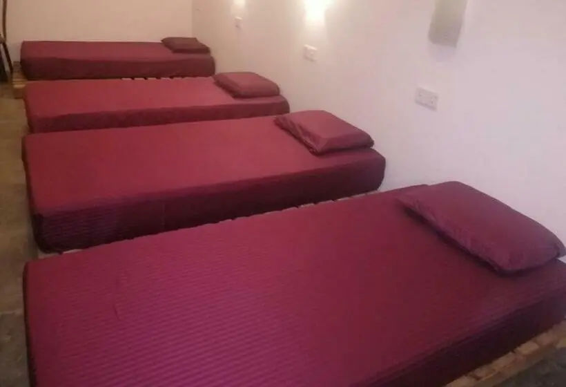 تختخواب در اتاق مشترک, Tiki Bar Hostel Ella