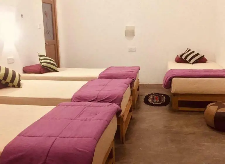 تختخواب در اتاق مشترک, Tiki Bar Hostel Ella