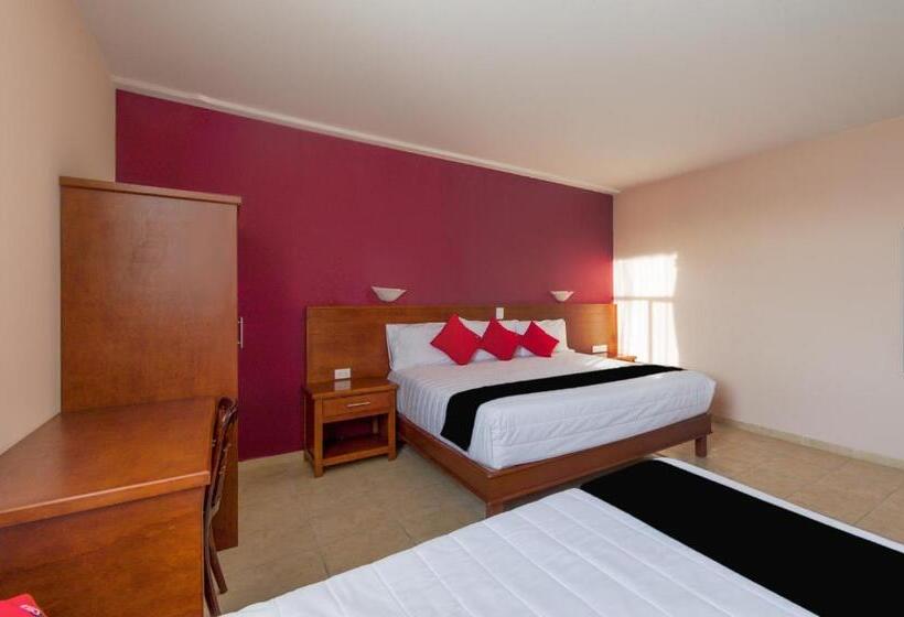 スタンダード４人部屋, San Pablo