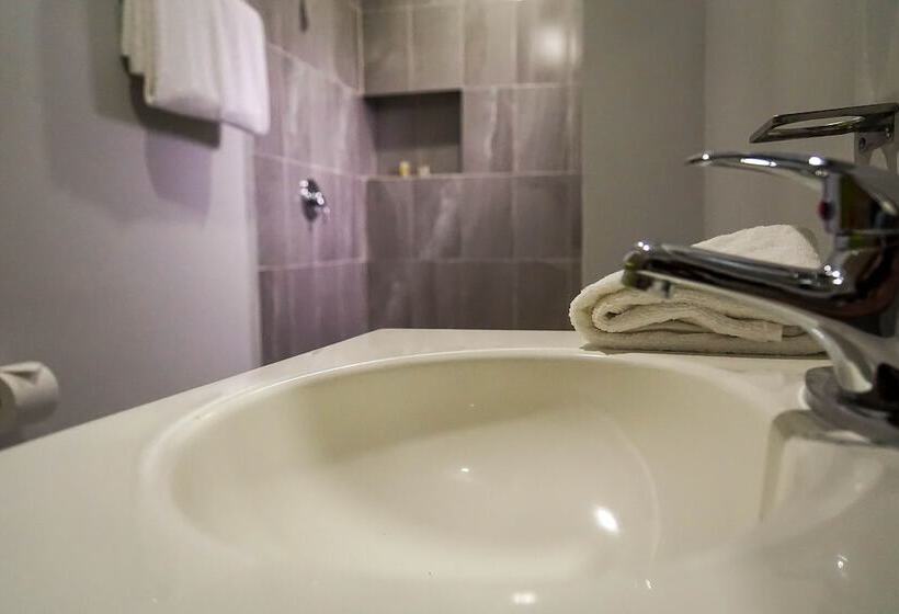 Standart Oda, Hc Express