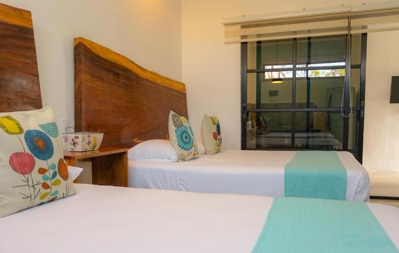 اتاق لوکس, Les Suites Calle 2 By Galian