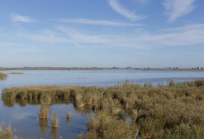 スタンダードルーム, Diego