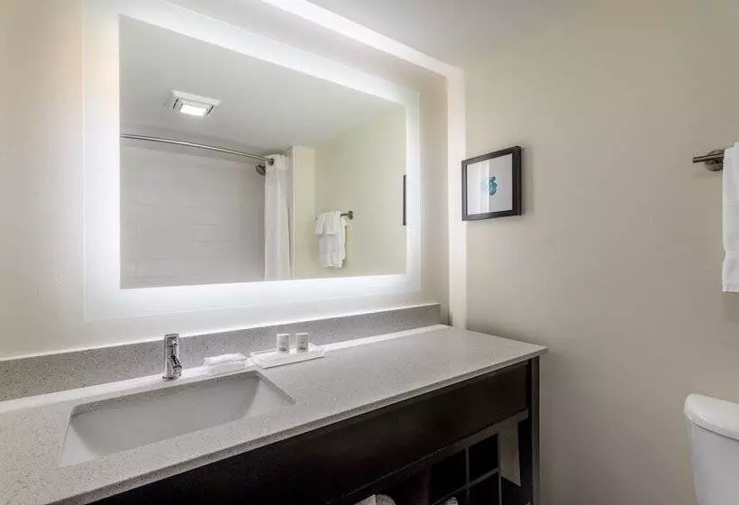 ２ダブルベッドのスタンダードルーム, Holiday Inn   Tampa North, An Ihg