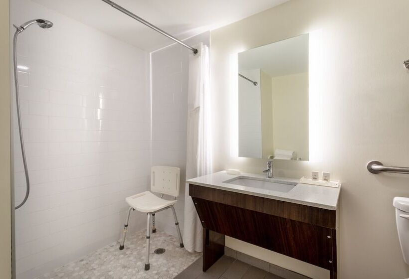 Номер Стандарт 2 Двуспальные Кровати, Holiday Inn   Tampa North, An Ihg