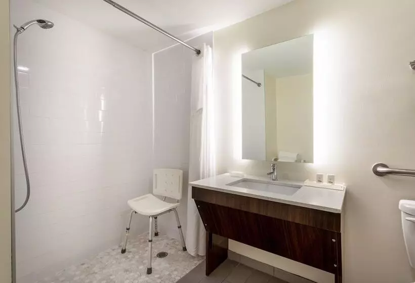 ２ダブルベッドのスタンダードルーム, Holiday Inn   Tampa North, An Ihg
