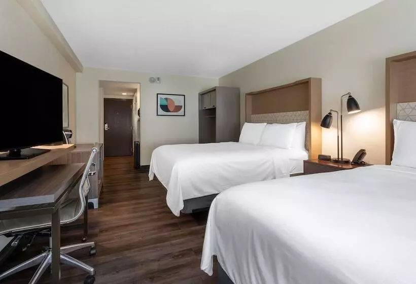 ２ダブルベッドのスタンダードルーム, Holiday Inn   Tampa North, An Ihg