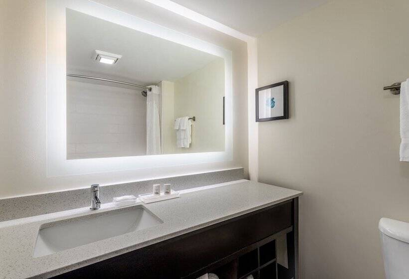 Номер Стандарт, Holiday Inn   Tampa North, An Ihg