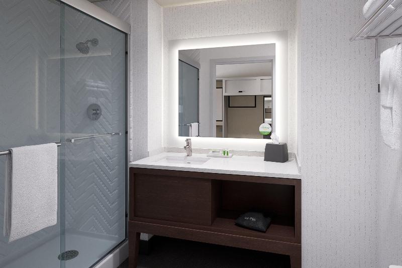 Стандартный Номер Кровать Кинг, Holiday Inn   Tampa North, An Ihg