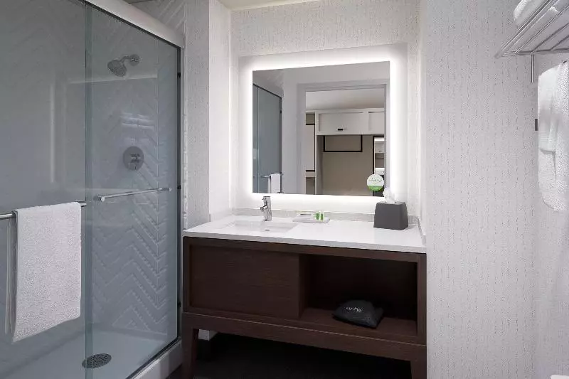 キングサイズベッドのスタンダードルーム, Holiday Inn   Tampa North, An Ihg