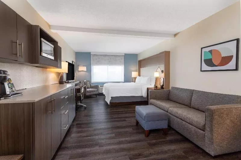 キングサイズベッドのスタンダードルーム, Holiday Inn   Tampa North, An Ihg