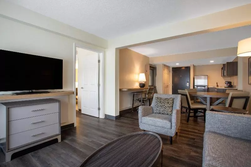 キングサイズベッドのスイートルーム, Holiday Inn   Tampa North, An Ihg