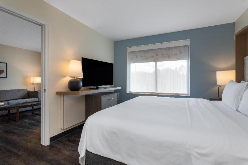 מיטת קינג בסוויטה, Holiday Inn   Tampa North, An Ihg