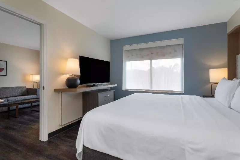 キングサイズベッドのスイートルーム, Holiday Inn   Tampa North, An Ihg