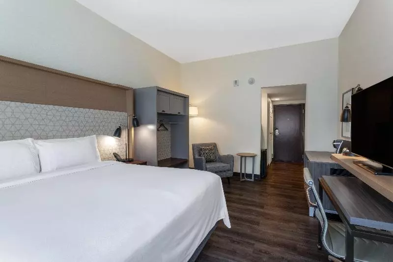 キングサイズベッドのスタンダードルーム, Holiday Inn   Tampa North, An Ihg