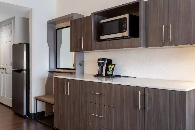 キングサイズベッドのスイートルーム, Holiday Inn   Tampa North, An Ihg