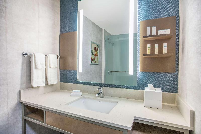 מיטת קינג בסוויטה, Holiday Inn   Tampa North, An Ihg