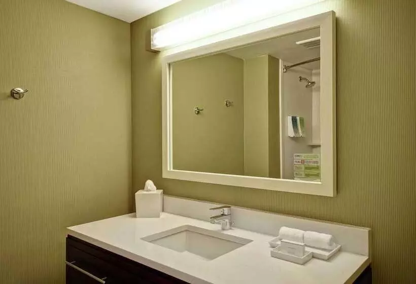 身障者適用スイートルーム, Home2 Suites By Hilton Atlanta Norcross