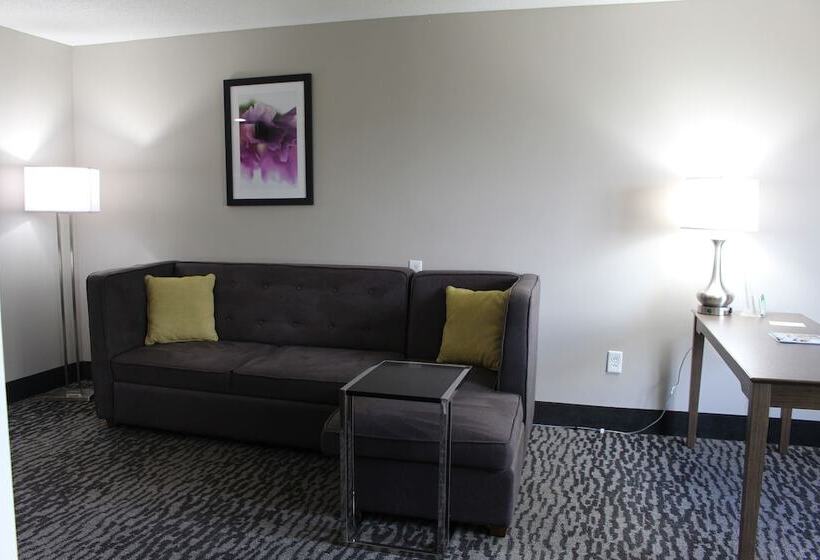 جناح سرير كينج, La Quinta By Wyndham Columbus North