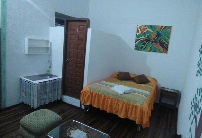 اتاق استاندارد, San Marcos Cultural & Guesthouse