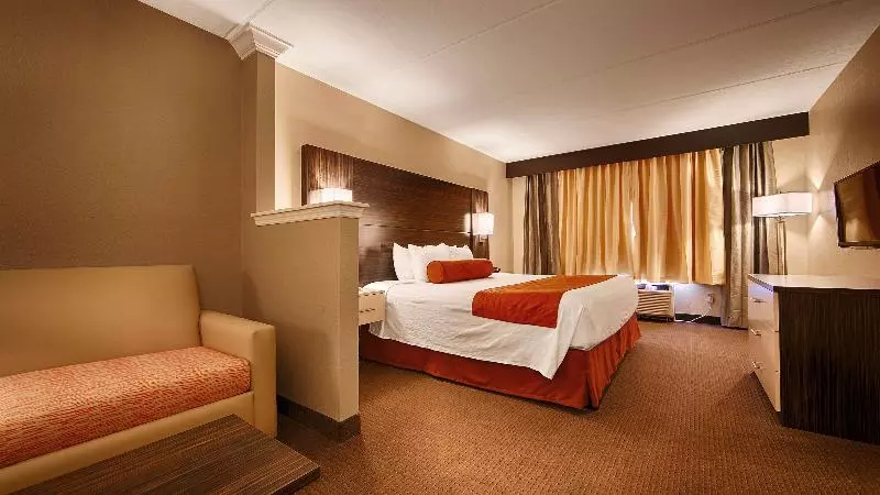 Chambre Standard, Bartos