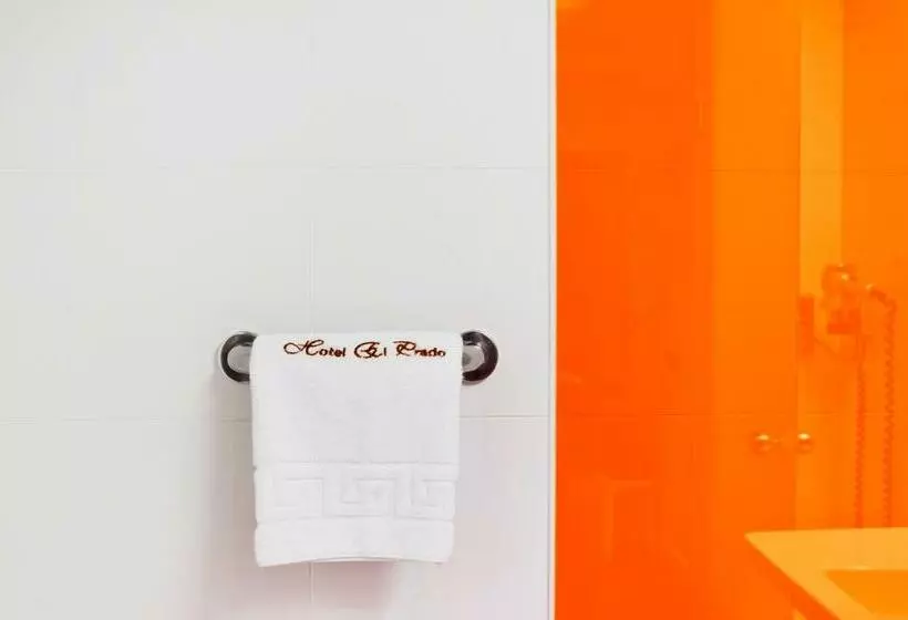 اتاق استاندارد یک نفره, Ibis Styles Madrid Prado