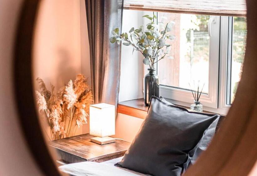 اتاق استاندارد, Vanaga Ligzda