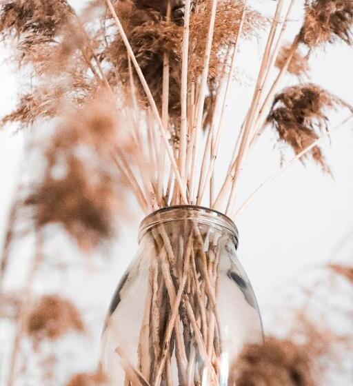 اتاق استاندارد, Vanaga Ligzda