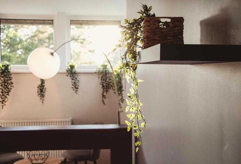 اتاق استاندارد با سرویس بهداشتی مشترک, Vanaga Ligzda