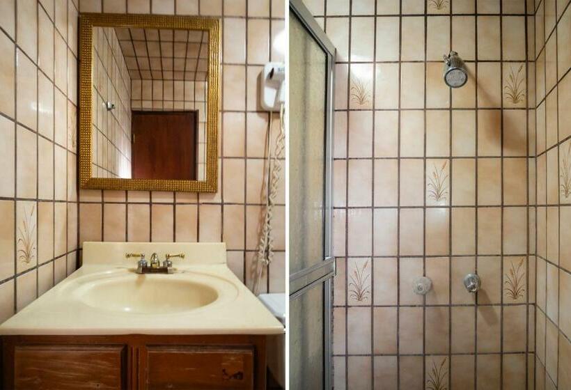 Номер Стандарт, Don Luis