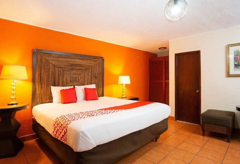 豪华房间, Don Luis