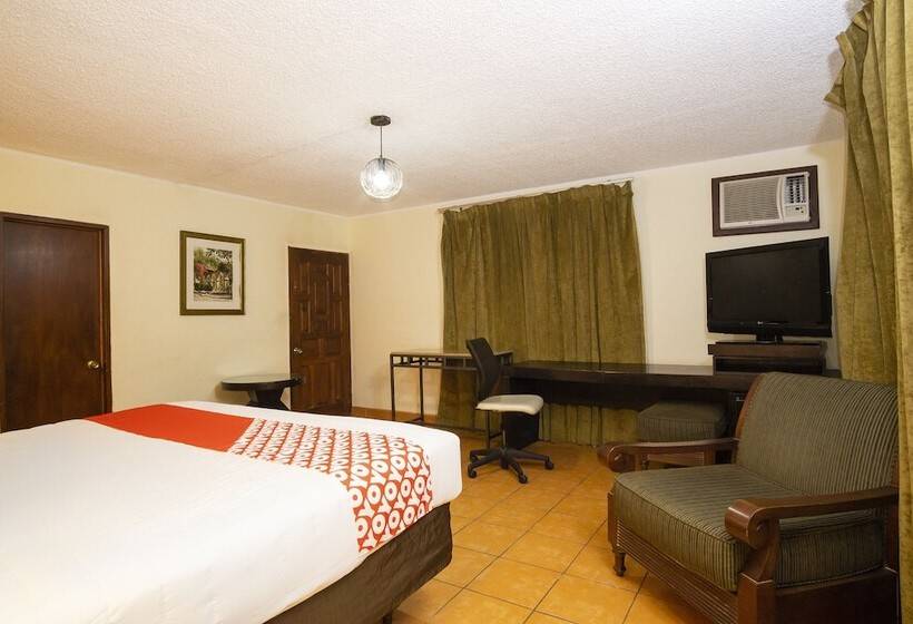 豪华房间, Don Luis