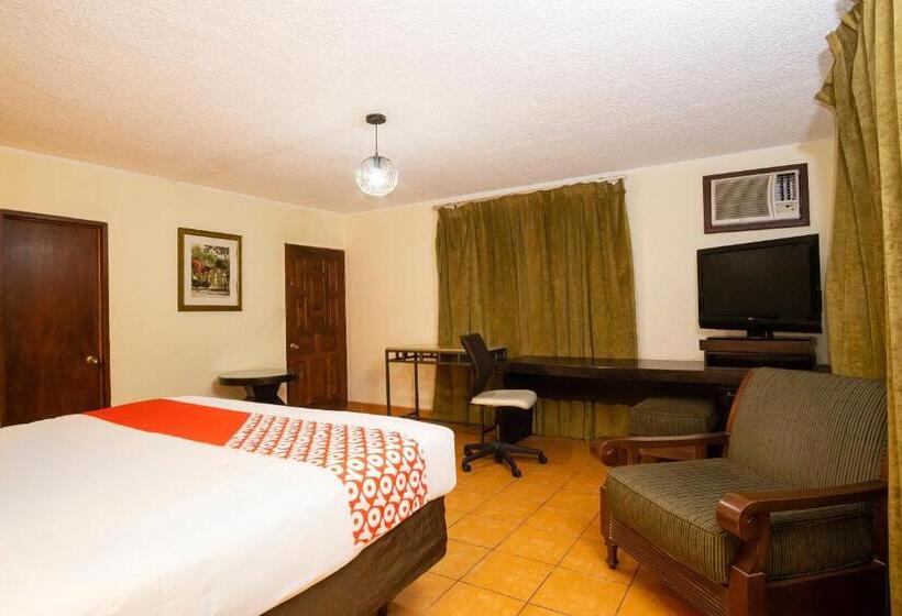 豪华房间, Don Luis