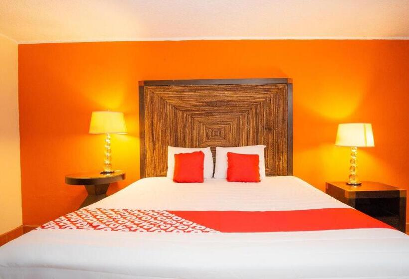 豪华房间, Don Luis