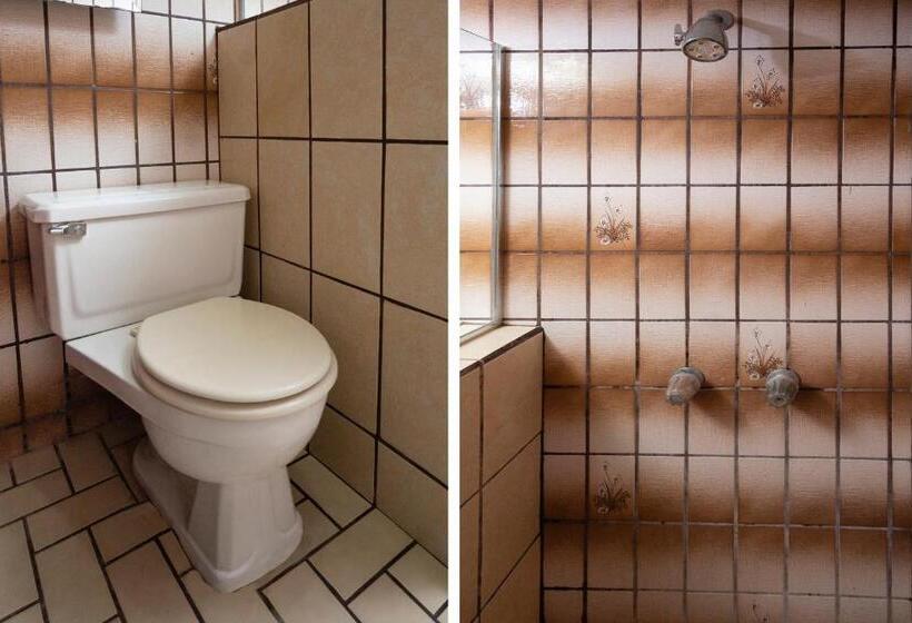 高级大房间, Don Luis