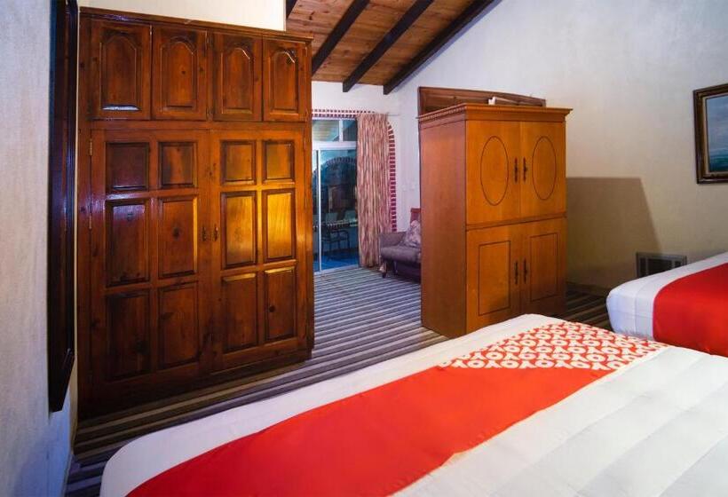 Номер Стандарт, Don Luis