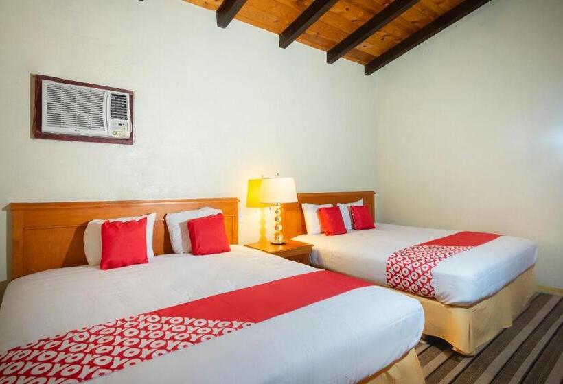 Номер Стандарт, Don Luis