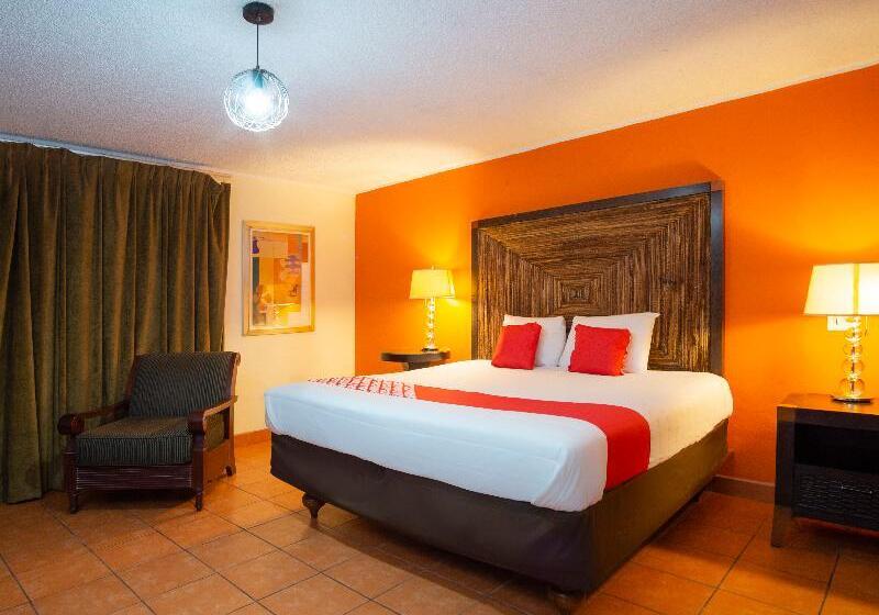 豪华房间, Don Luis