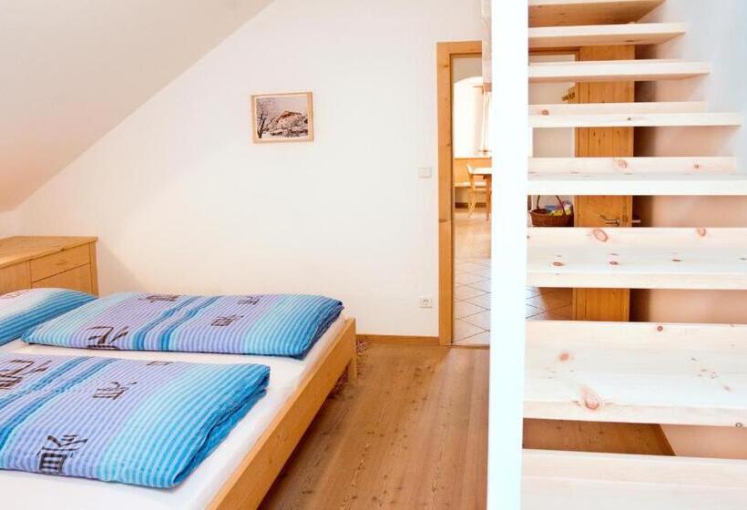 带2个卧室的公寓, Rielingerhof