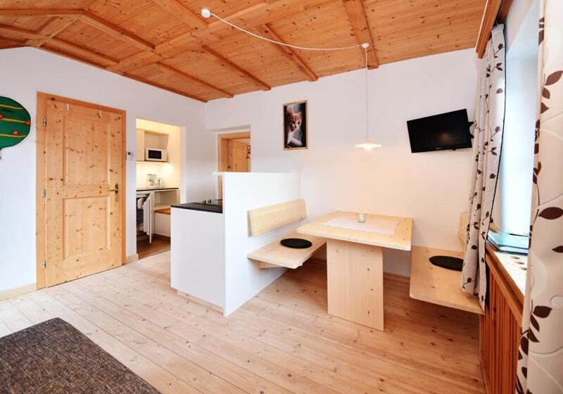 带1个卧室的带阳台的公寓, Rielingerhof