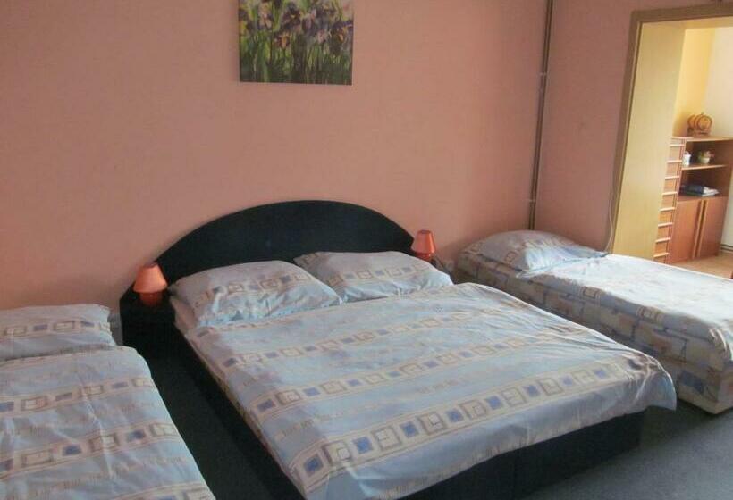 شقة غرفة واحدة, V Aleji   Ubytování V Soukromí